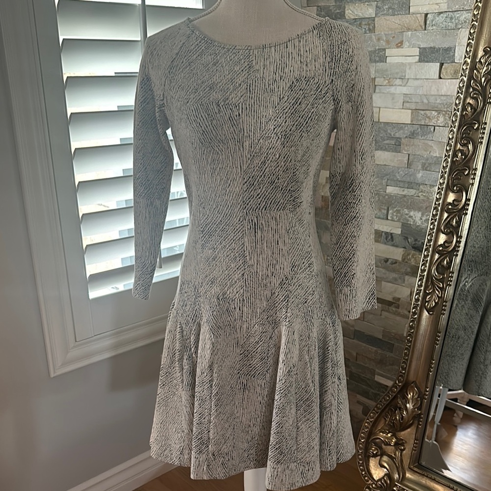 Banana Republic Silver Long Sleeve Fit and Flare Dress